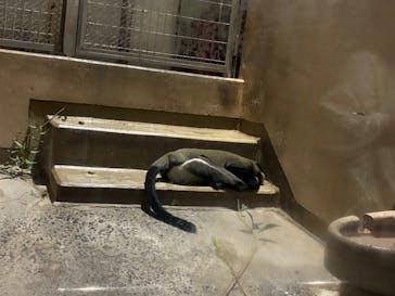 恩賜上野動物園に投稿された画像（2025/10/14）