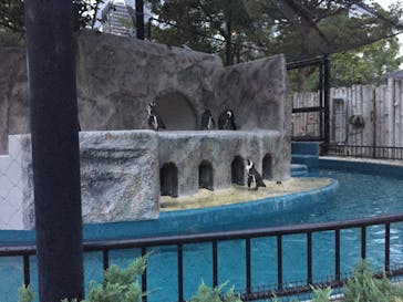 恩賜上野動物園に投稿された画像（2025/10/14）