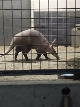 恩賜上野動物園に投稿された画像（2025/10/14）