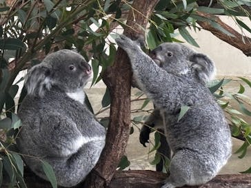 多摩動物公園に投稿された画像（2025/10/14）