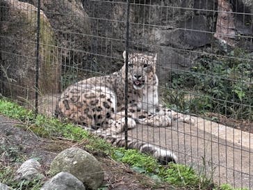 多摩動物公園に投稿された画像（2025/10/14）