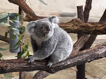 多摩動物公園に投稿された画像（2025/10/14）