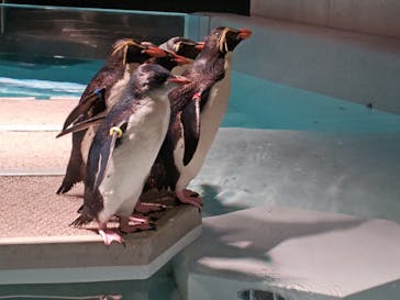 AOAO SAPPOROに投稿された画像（2025/10/14）