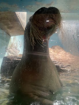 伊豆・三津シーパラダイスに投稿された画像（2025/10/14）