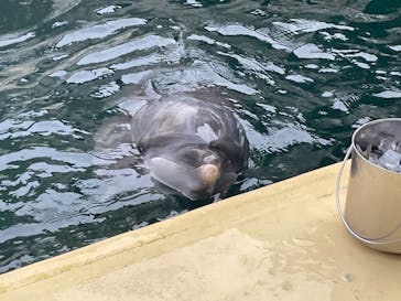 伊豆・三津シーパラダイスに投稿された画像（2025/10/14）