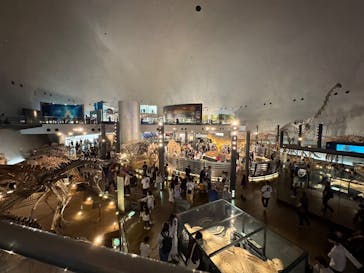 福井県立恐竜博物館に投稿された画像（2025/10/14）