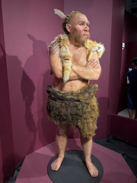 特別展「氷河期展 〜人類が見た4万年前の世界〜」（国立科学博物館）に投稿された画像（2025/10/14）