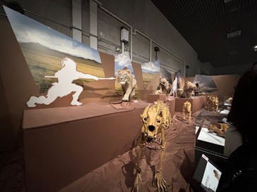 特別展「氷河期展 〜人類が見た4万年前の世界〜」（国立科学博物館）に投稿された画像（2025/10/14）
