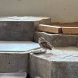 NIFREL（ニフレル）に投稿された画像（2025/10/14）