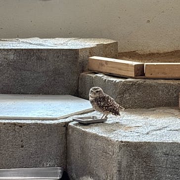 NIFREL（ニフレル）に投稿された画像（2025/10/14）