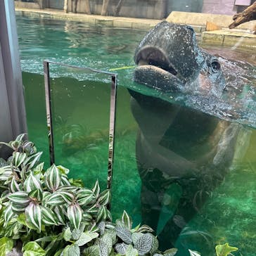 NIFREL（ニフレル）に投稿された画像（2025/10/14）