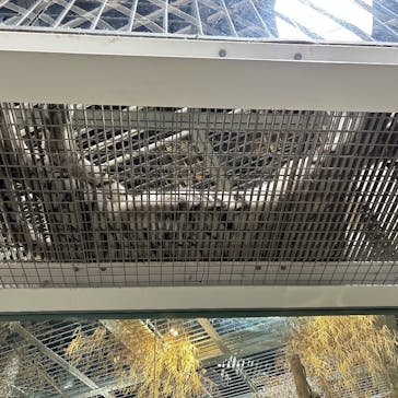 NIFREL（ニフレル）に投稿された画像（2025/10/14）