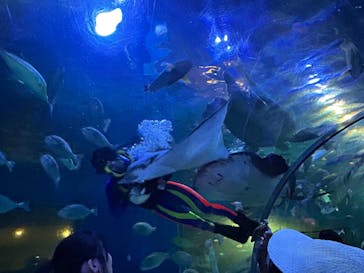 しながわ水族館に投稿された画像（2025/10/14）