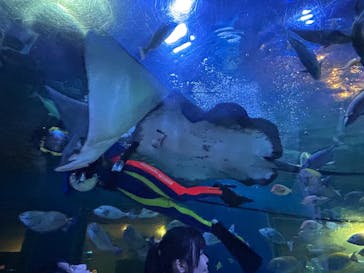 しながわ水族館に投稿された画像（2025/10/14）