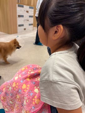 いぬカフェRio イオンモール福岡店に投稿された画像（2025/10/14）