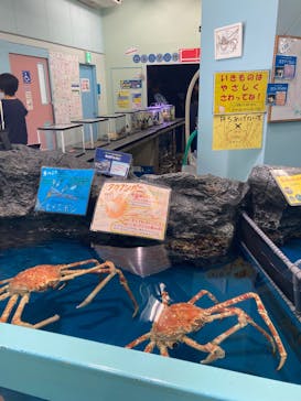 竹島水族館に投稿された画像（2025/10/14）