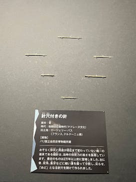 特別展「氷河期展 〜人類が見た4万年前の世界〜」（国立科学博物館）に投稿された画像（2025/10/14）