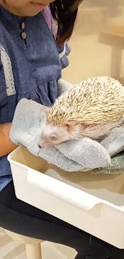 Moff animal cafe イオンモール名取店に投稿された画像（2025/10/14）