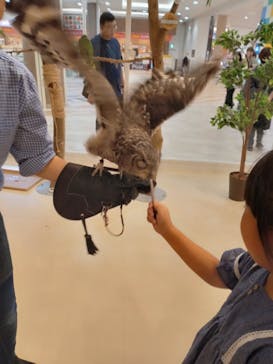 Moff animal cafe イオンモール名取店に投稿された画像（2025/10/14）