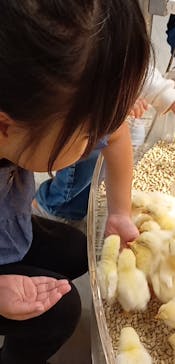 Moff animal cafe イオンモール名取店に投稿された画像（2025/10/14）