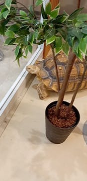 Moff animal cafe イオンモール名取店に投稿された画像（2025/10/14）