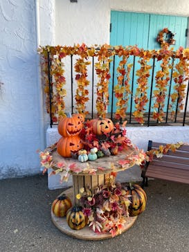 志摩スペイン村パルケエスパーニャに投稿された画像（2025/10/14）