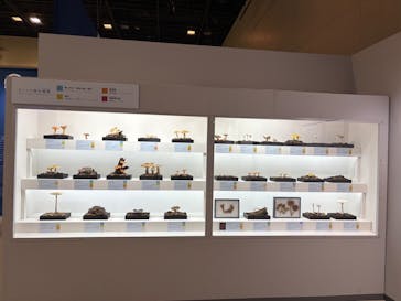 特別展「和食～日本の自然、人々の知恵～」＠静岡に投稿された画像（2025/10/14）