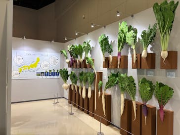 特別展「和食～日本の自然、人々の知恵～」＠静岡に投稿された画像（2025/10/14）