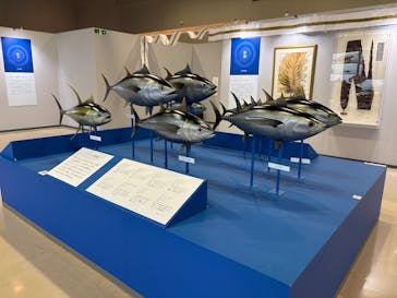 特別展「和食～日本の自然、人々の知恵～」＠静岡に投稿された画像（2025/10/14）