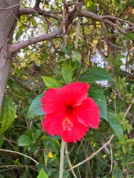 冒険島　沖縄総合アウトドアツアー専門店に投稿された画像（2025/10/14）