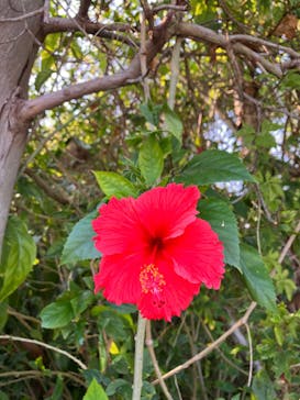 冒険島　沖縄総合アウトドアツアー専門店に投稿された画像（2025/10/14）