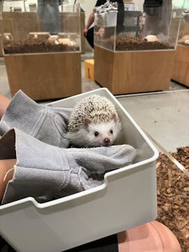 Moff animal cafe イオンモール新利府店に投稿された画像（2025/10/14）