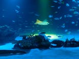 サンシャイン水族館に投稿された画像（2025/10/14）