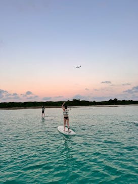 宮古島マリン SUGAR3（シュガースリー）に投稿された画像（2025/10/14）