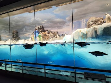 名古屋港水族館に投稿された画像（2025/10/14）