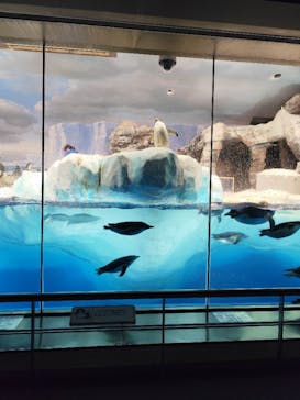 名古屋港水族館に投稿された画像（2025/10/14）