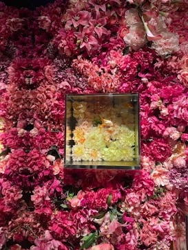 NARA KINGYO MUSEUMに投稿された画像（2025/10/14）