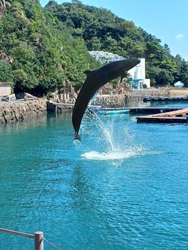 太地町立くじらの博物館に投稿された画像（2025/10/14）