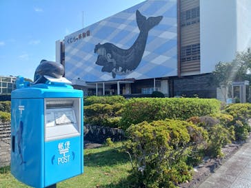 太地町立くじらの博物館に投稿された画像（2025/10/14）