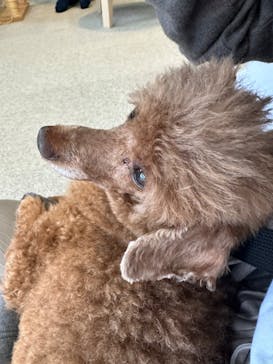 Moff animal cafe iias つくば店に投稿された画像（2025/10/14）