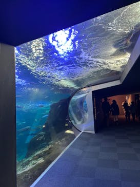 新江ノ島水族館に投稿された画像（2025/10/14）