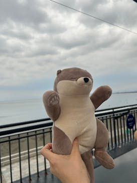 新江ノ島水族館に投稿された画像（2025/10/14）