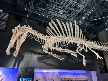 福井県立恐竜博物館に投稿された画像（2025/10/14）