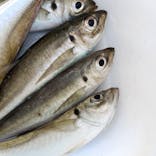 環境水族館アクアマリンふくしまに投稿された画像（2025/10/14）