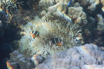 ZeroGravity（ゼログラヴィティ）に投稿された画像（2025/10/14）