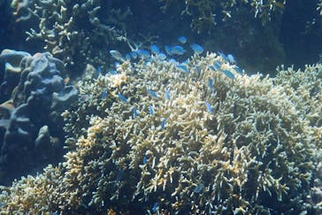 ZeroGravity（ゼログラヴィティ）に投稿された画像（2025/10/14）