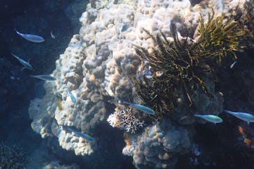 ZeroGravity（ゼログラヴィティ）に投稿された画像（2025/10/14）