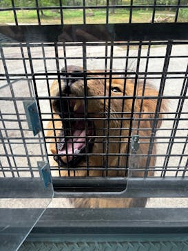 群馬サファリパークに投稿された画像（2025/10/14）