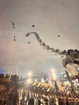 福井県立恐竜博物館に投稿された画像（2025/10/14）