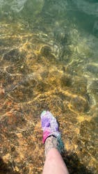 ホワイトウイングに投稿された画像（2025/10/14）